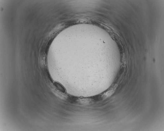 X0000075840417200610151550