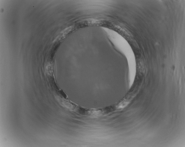 X0000075840419200610151550