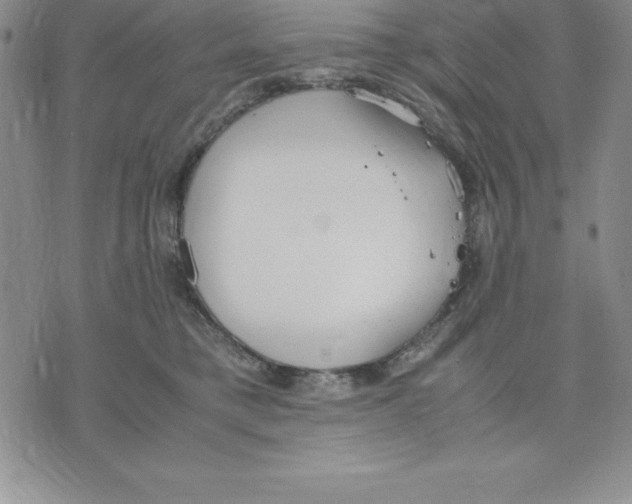 X0000075840421200610151550