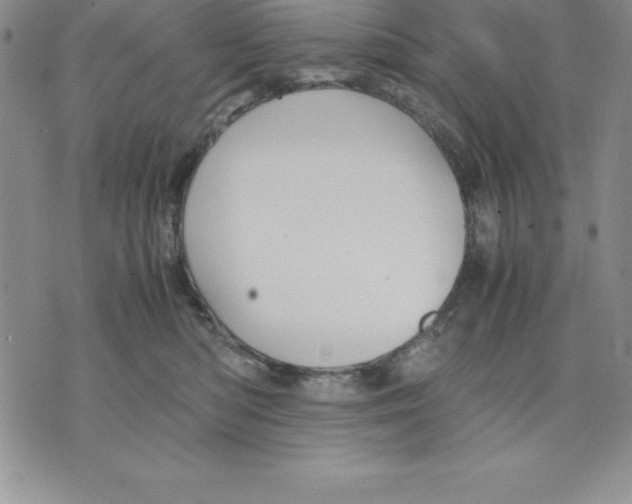 X0000075840422200610151550