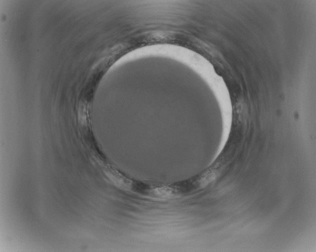 X0000075840423200610151550