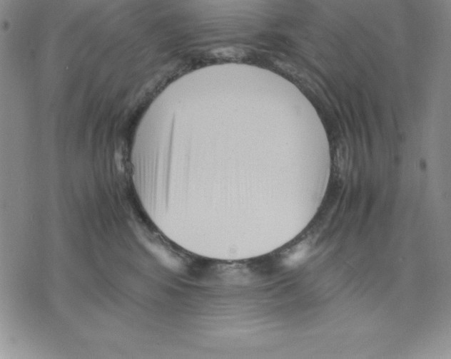 X0000075840424200610151550