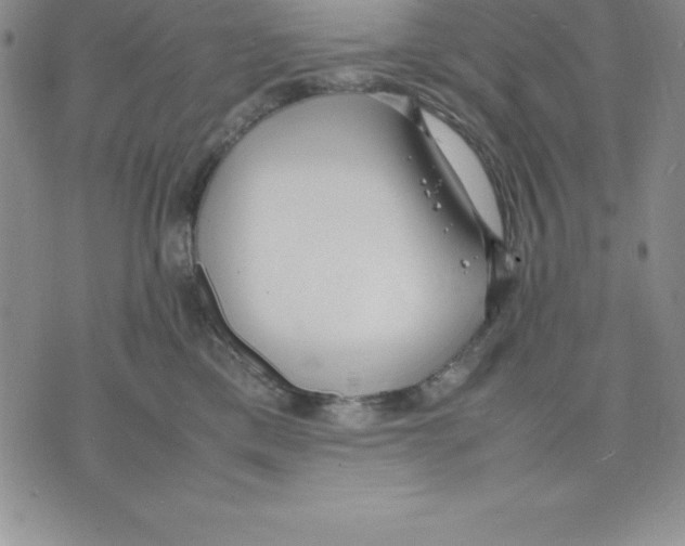 X0000075840425200610151550