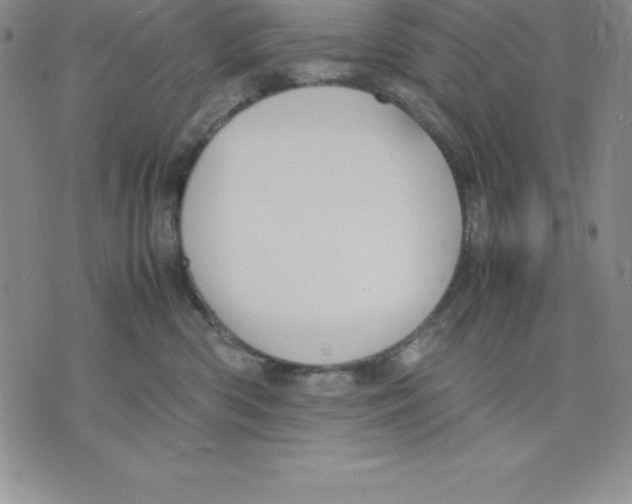 X0000075840426200610151550