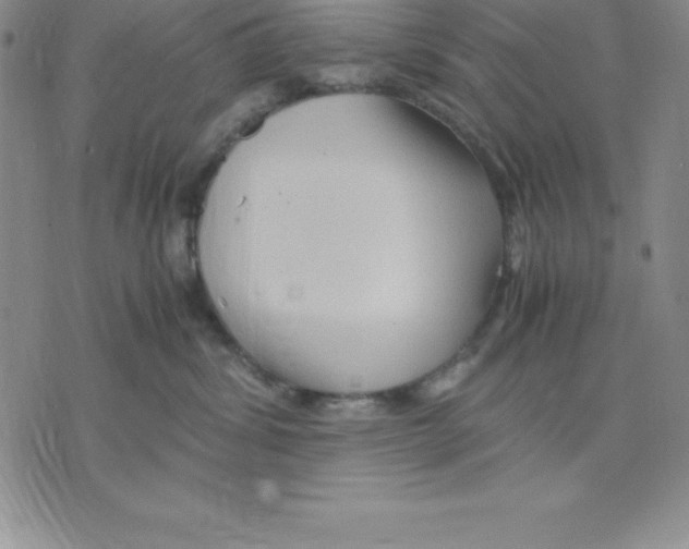 X0000075840428200610151550