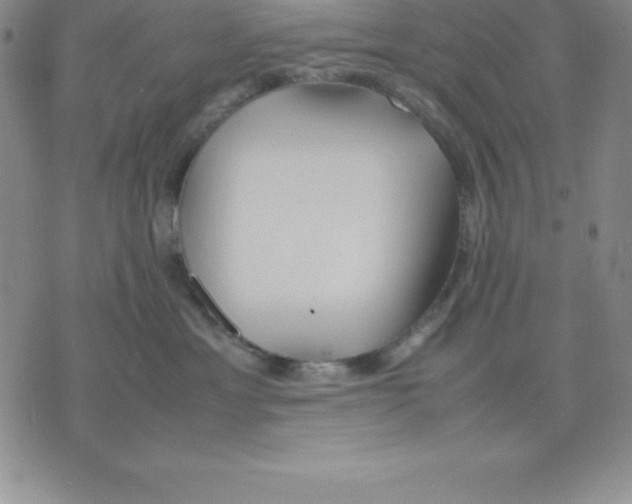 X0000075840429200610151550