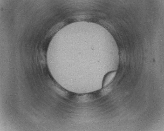 X0000075840430200610151550