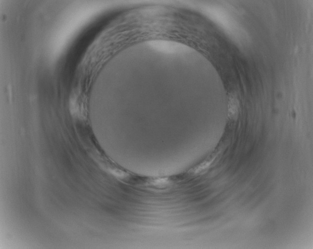 X0000075840431200610151550