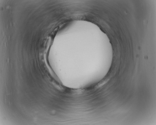 X0000075840432200610151549