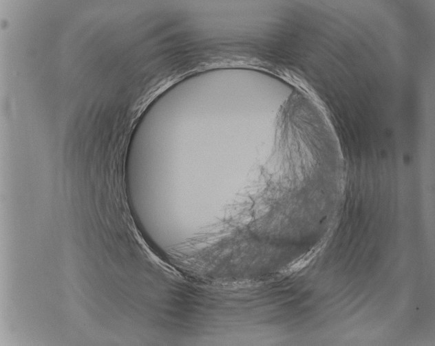 X0000075840433200610151549