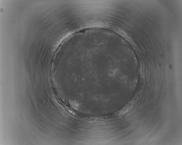 X0000075840434200610151549