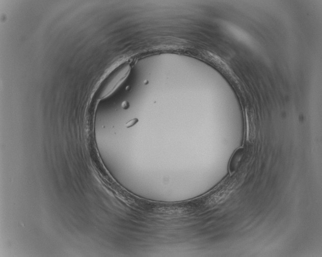 X0000075840435200610151549