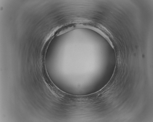 X0000075840436200610151549