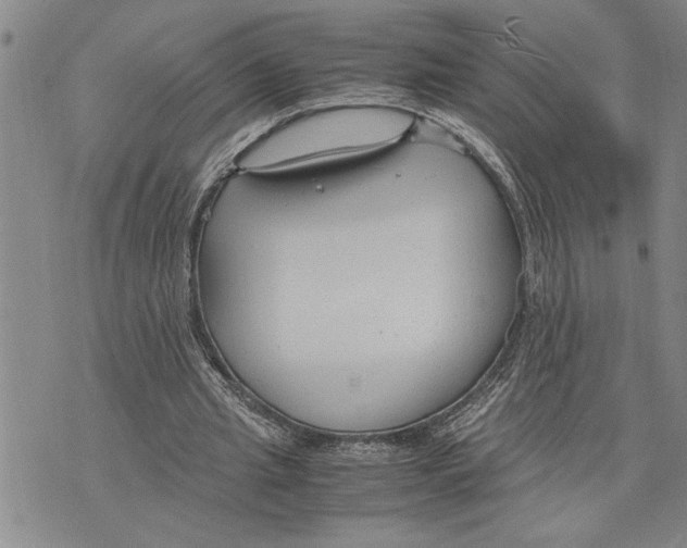 X0000075840437200610151549