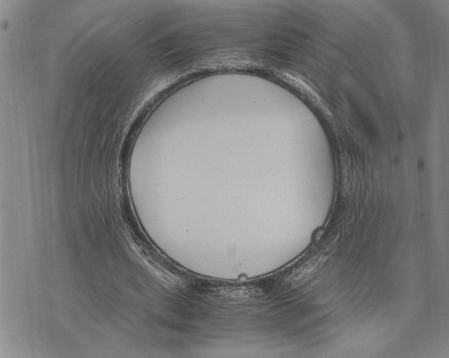 X0000075840439200610151549