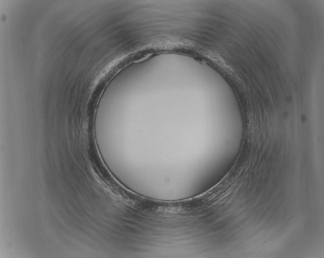 X0000075840440200610151549