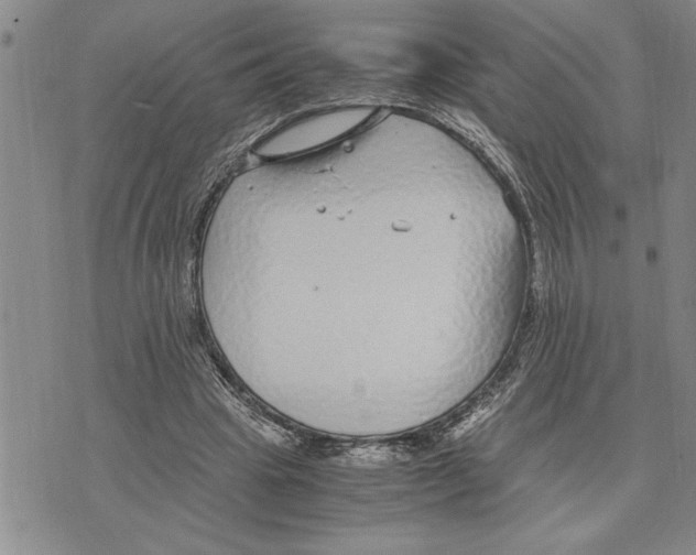 X0000075840441200610151549