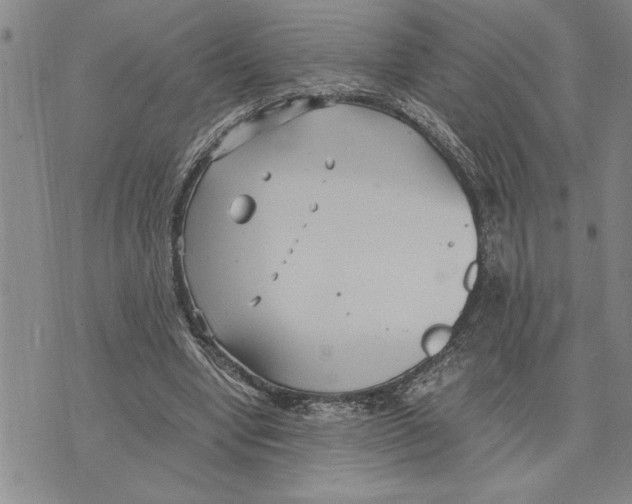 X0000075840442200610151549