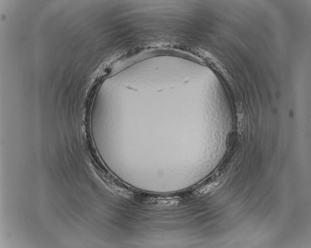 X0000075840443200610151549