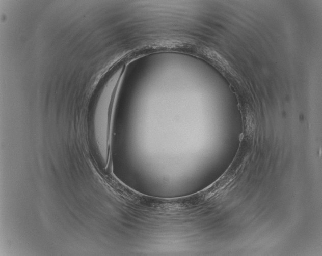 X0000075840444200610151549