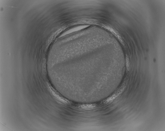 X0000075840445200610151549