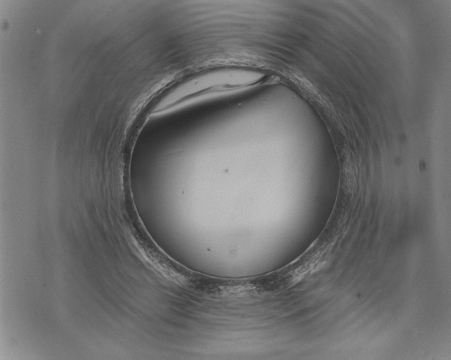 X0000075840446200610151549