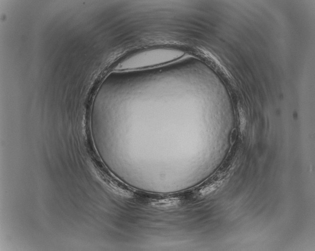 X0000075840447200610151549