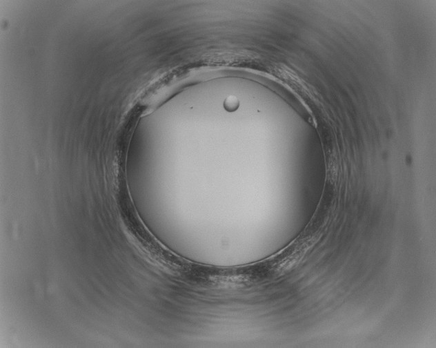 X0000075840448200610151549