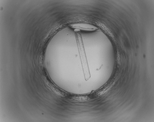 X0000075840449200610151549