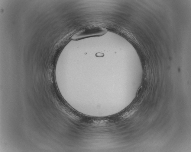 X0000075840450200610151549