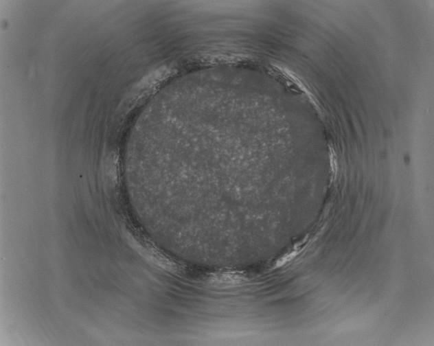 X0000075840451200610151549