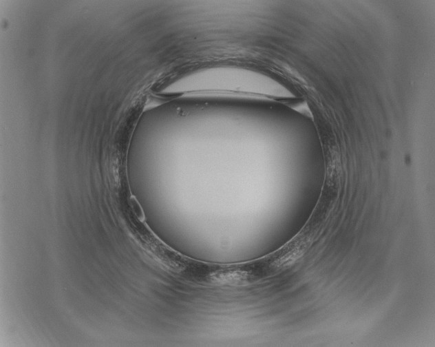 X0000075840452200610151549