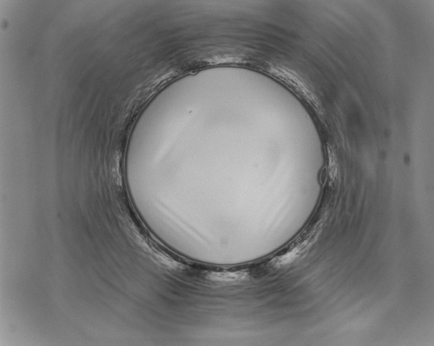 X0000075840453200610151549