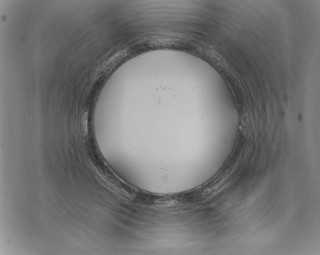 X0000075840454200610151549