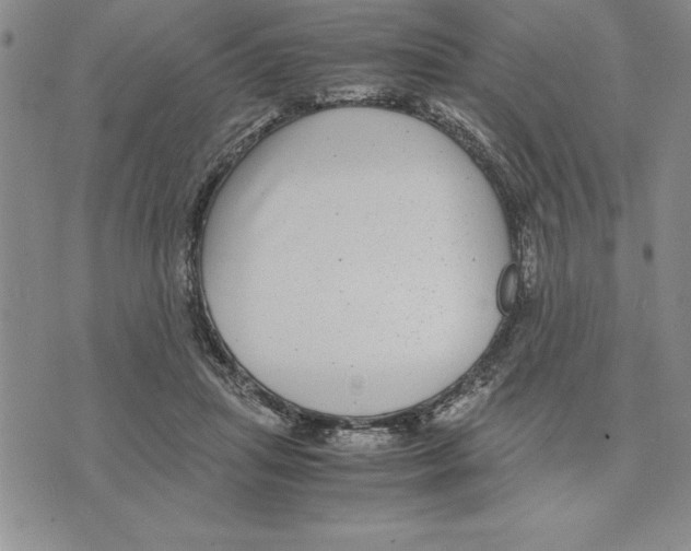 X0000075840455200610151549