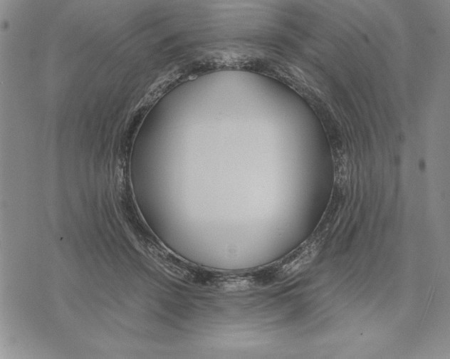 X0000075840456200610151549