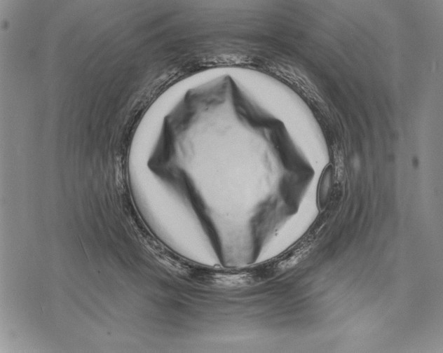 X0000075840457200610151549