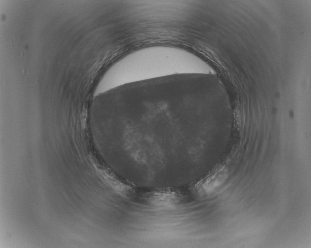 X0000075840458200610151549