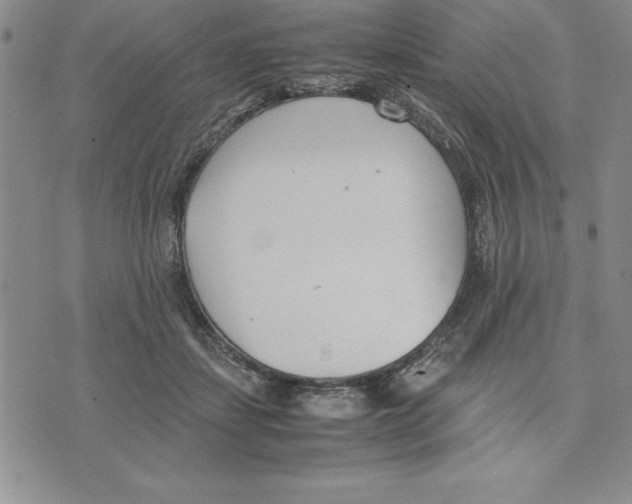 X0000075840459200610151549