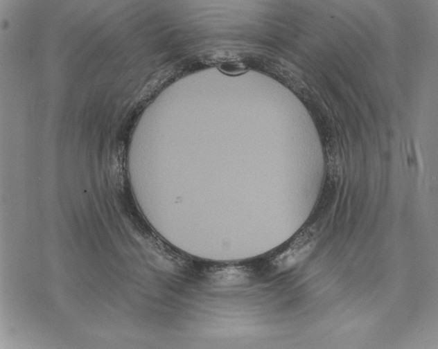 X0000075840460200610151549