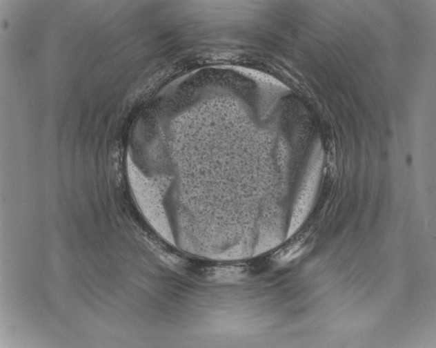 X0000075840462200610151549