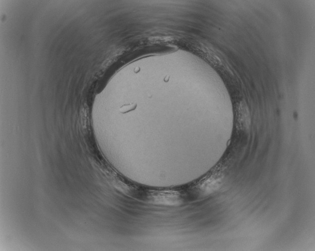 X0000075840463200610151549