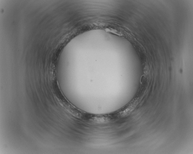 X0000075840464200610151549