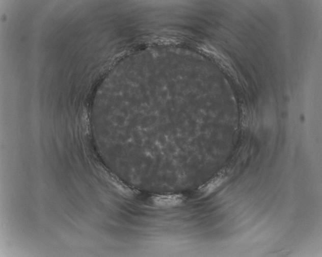 X0000075840465200610151549