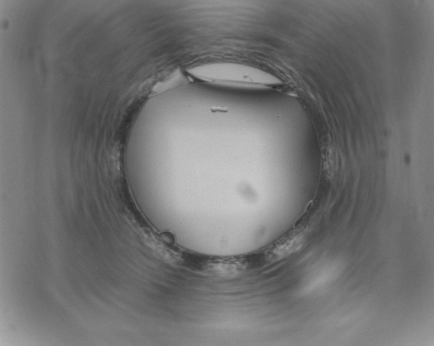 X0000075840466200610151549