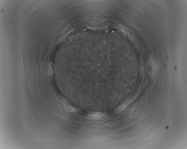 X0000075840467200610151549