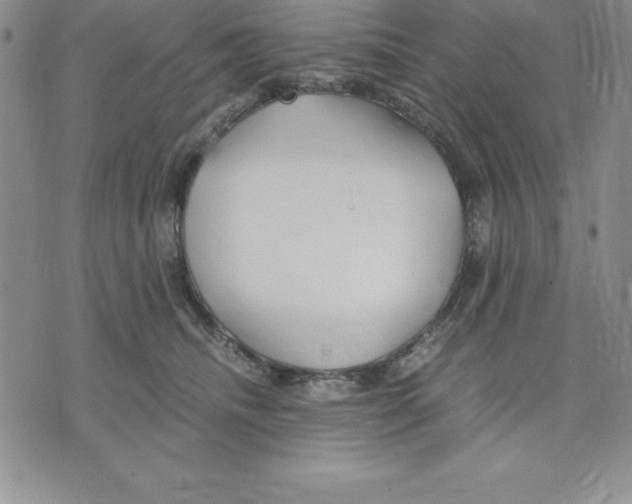 X0000075840468200610151549