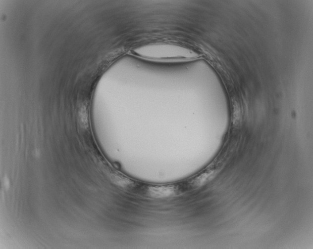 X0000075840469200610151549