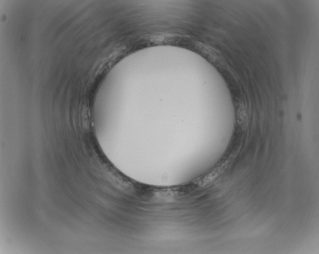 X0000075840470200610151549