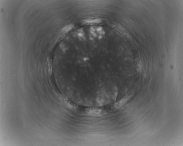 X0000075840471200610151549